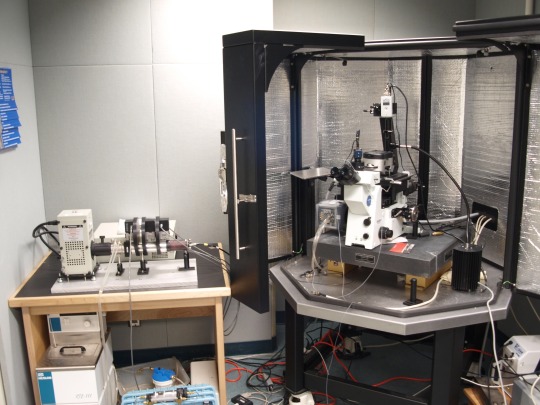 afmlab
